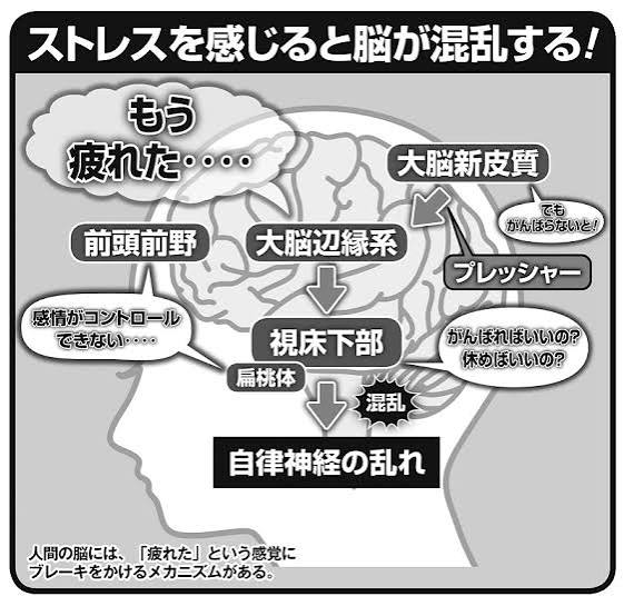 脳疲労と自律神経について神戸元町Blue Moon